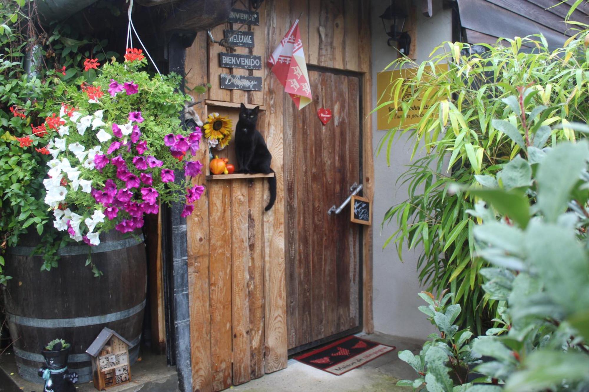 Maisonnette Bindernheim Dış mekan fotoğraf